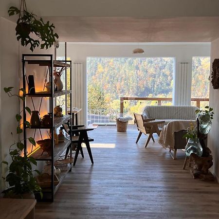 Shard Boutique Hotel-Adult Only 브라쇼브 외부 사진