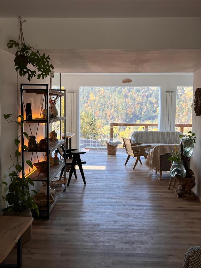 Shard Boutique Hotel-Adult Only 브라쇼브 외부 사진