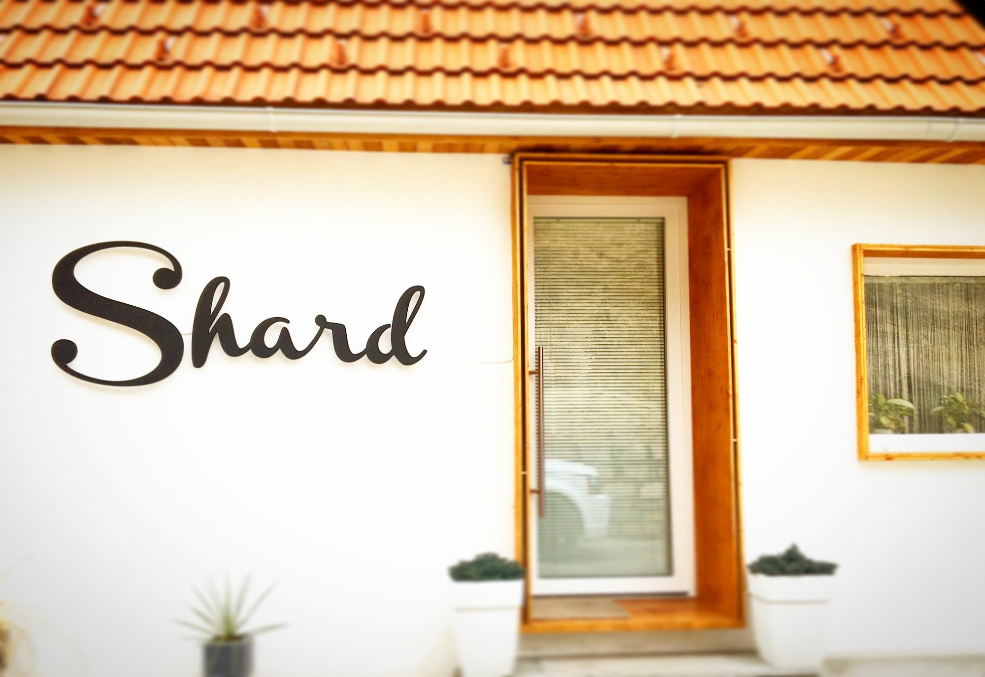 Shard Boutique Hotel-Adult Only 브라쇼브 외부 사진